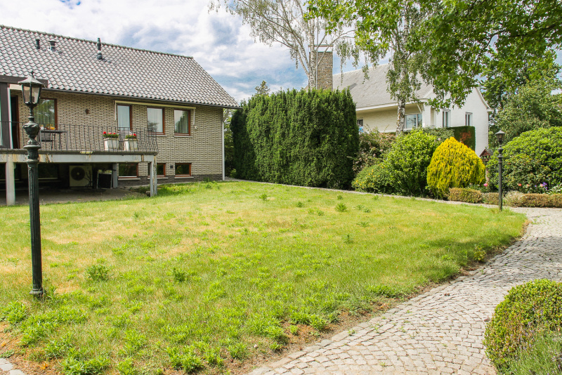 De tuin