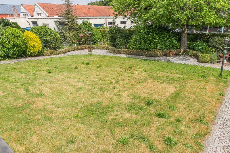 De tuin
