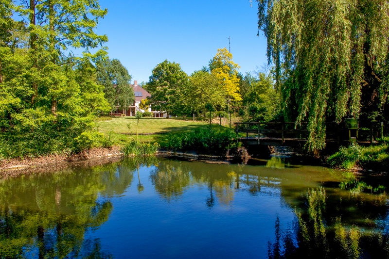 De achtertuin
