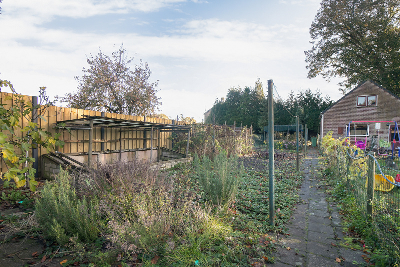 De tuin