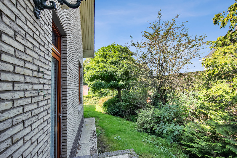 Deel van de tuin