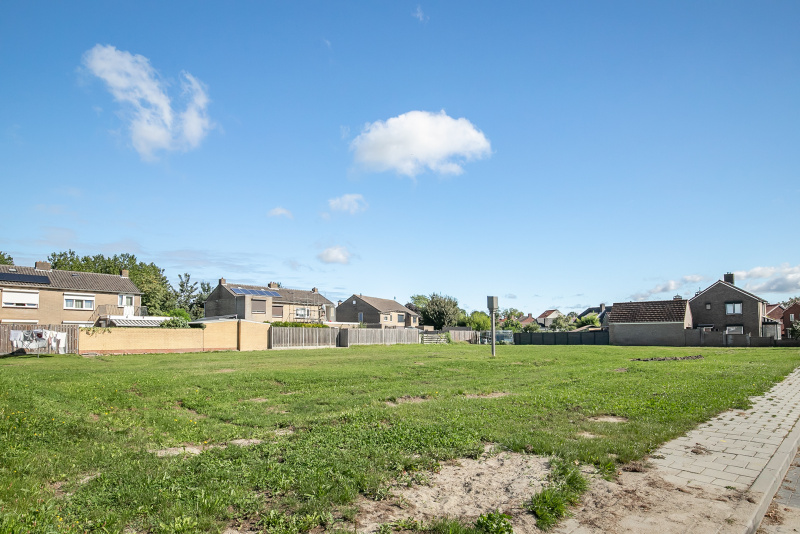 Dicht bij groot open veld
