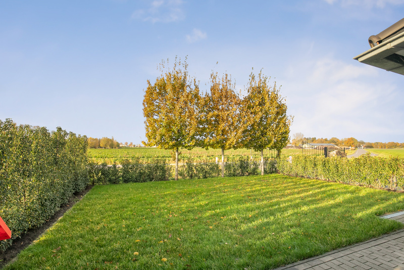 De tuin